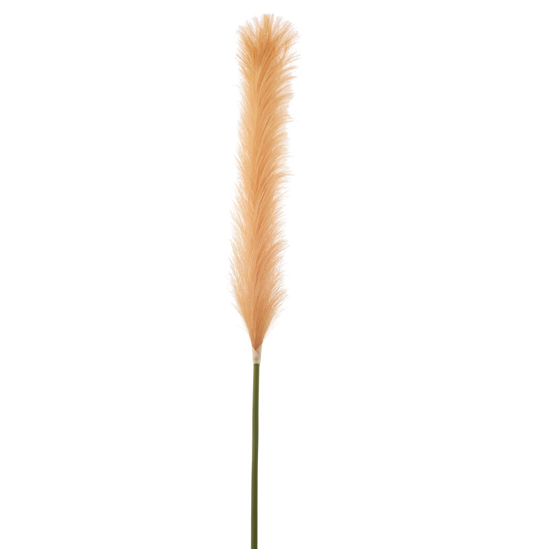 Pampas Arrangement