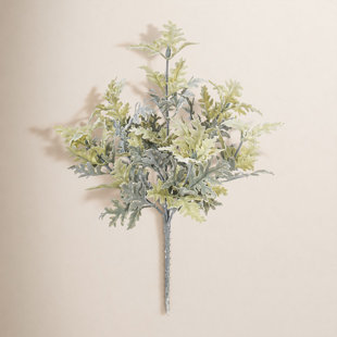 Dusty Miller Bush (Set of 2)