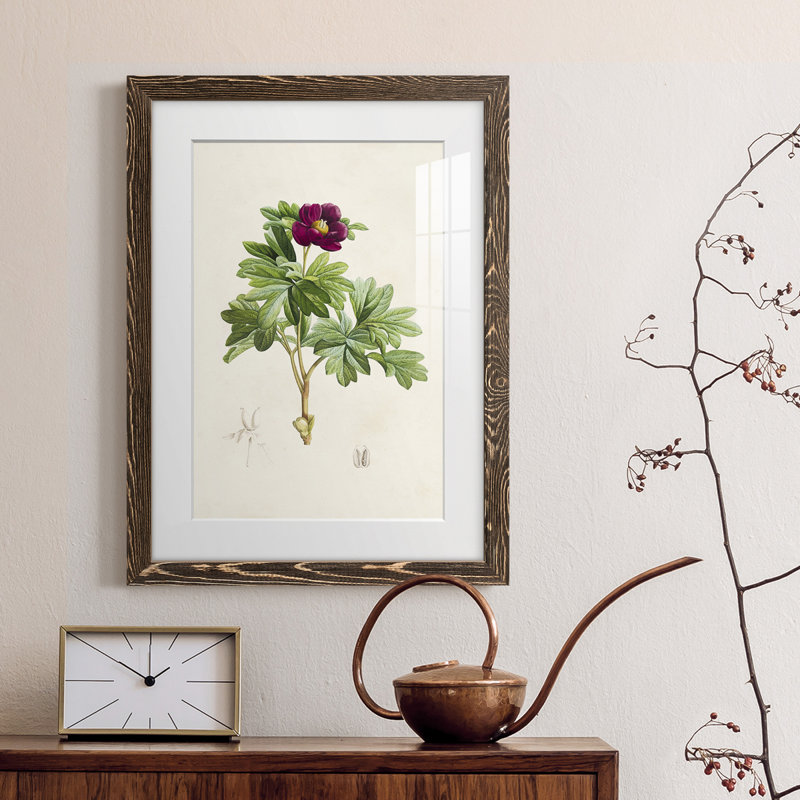 «Pretty Botanicals III», cadre photo, Encadré de bois de noyer, H 38 po x l 28 po x P 1 po