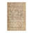 Oriental Indoor Rug-1769641977