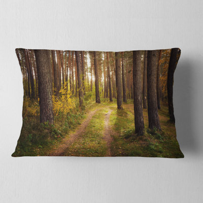 Reversible Throw Pillow