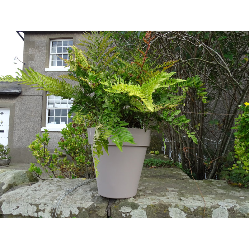 Bojorquez Pot Planter, 28cm H x 29cm W x 29cm D, Grey