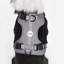 Harnais pour animal de compagnie Arlo-112400931-128618013
