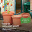 Pot Planter