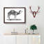 Arabian Camel In Black And White by George Shaw - Single Picture Frame Print-55545162-55545172