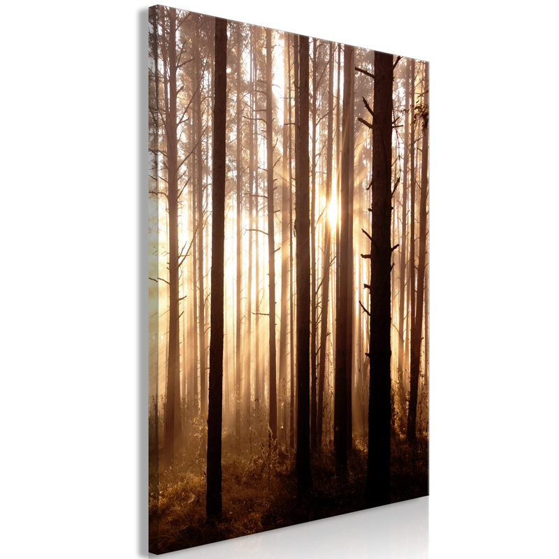 Forest Paths - Wrapped Canvas Print, 60cm H x 40cm W