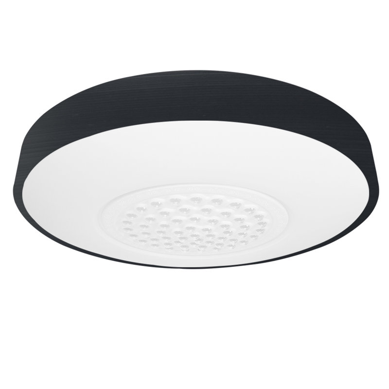 Gleanarm Flush Mount, Anthracite