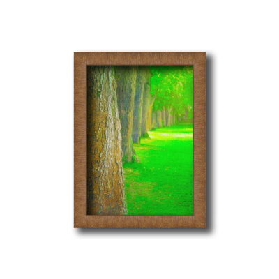 Dans le parc le long du chemin - couleur par Hal Halli. Impression sur papier - Montée et encadrée