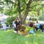 Lit de jardin surélevé carré en acier galvanisé Ippolito - brun - 24 po x 24 po x 11,75 po-1087888552-1188451423-1184900158
