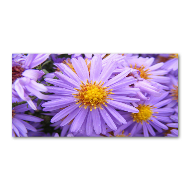 Lusia 50cm W x 100cm L Glass Peel and Stick Panel