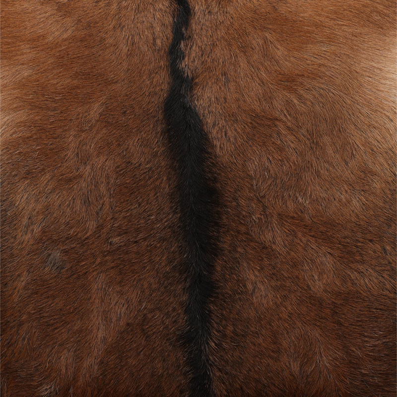 Chaise d'appoint Norcross - brun