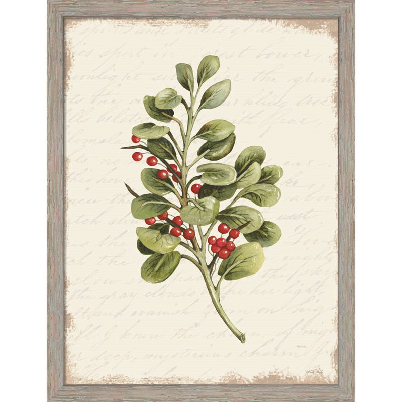 «Berries Christmas Botanical» par Cindy Jacobs - impression encadrée