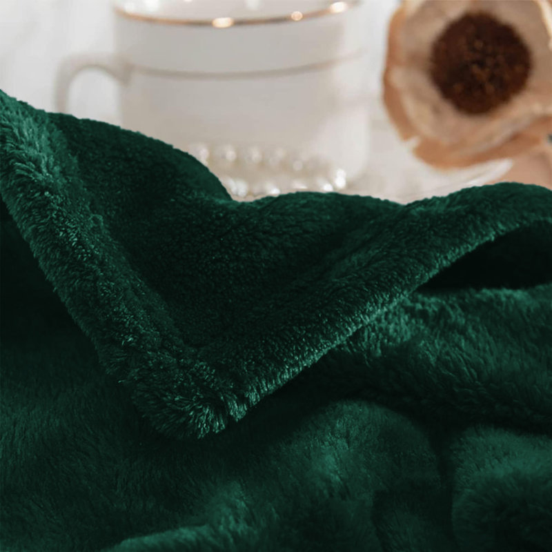 Aspire Homeware Ultra-Soft Hotel Quality Reversible Plain Weave Fleece Throw Blanket, Kingsize (200cm W x 240cm L)