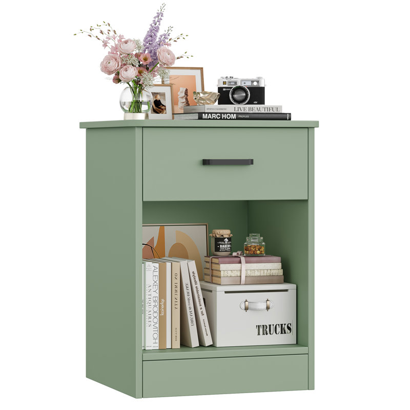 Ignacio 23.6" H Wood Nightstand with Drawer, Individual, Sage Green