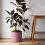 Pot à fleurs rond intérieur / extérieur en plastique moderne avec soucoupe-1933896408-1887455305
