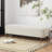 Comfortable Bench