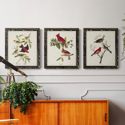 Pl 354 Louisiana Tanager - Ensemble de 3 peintures sur toile encadrées