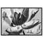 Full Bloom High-Gloss Frameless Acrylic Glass Wall Art Floral & Botanical Print by Oliver Gal, Ready to Hang, 15 x 10-115878907-115878911