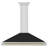 Zline 48 In. Autograph Edition Stainless Steel Range Hood With Black Matte Shell And Polished Gold Handle-97577464