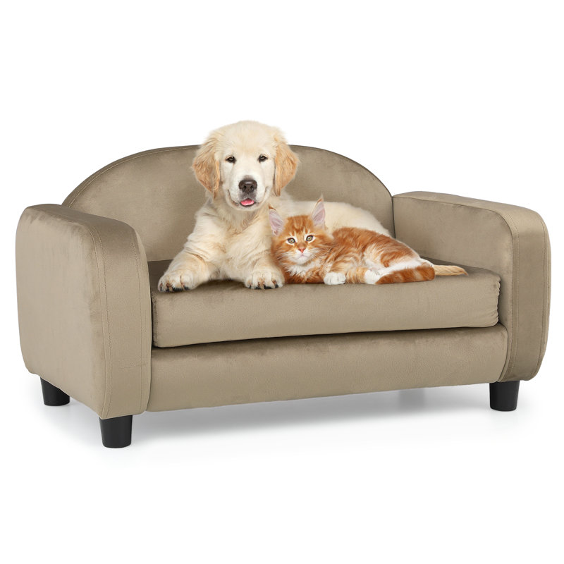 Light Brown Velvet Elevated Pet Sofa with Removable Cushion