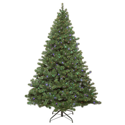Oregon Fir 6.5' Lighted Fir Christmas Tree