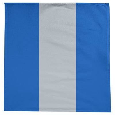 Dallas Basketball Tablecloth