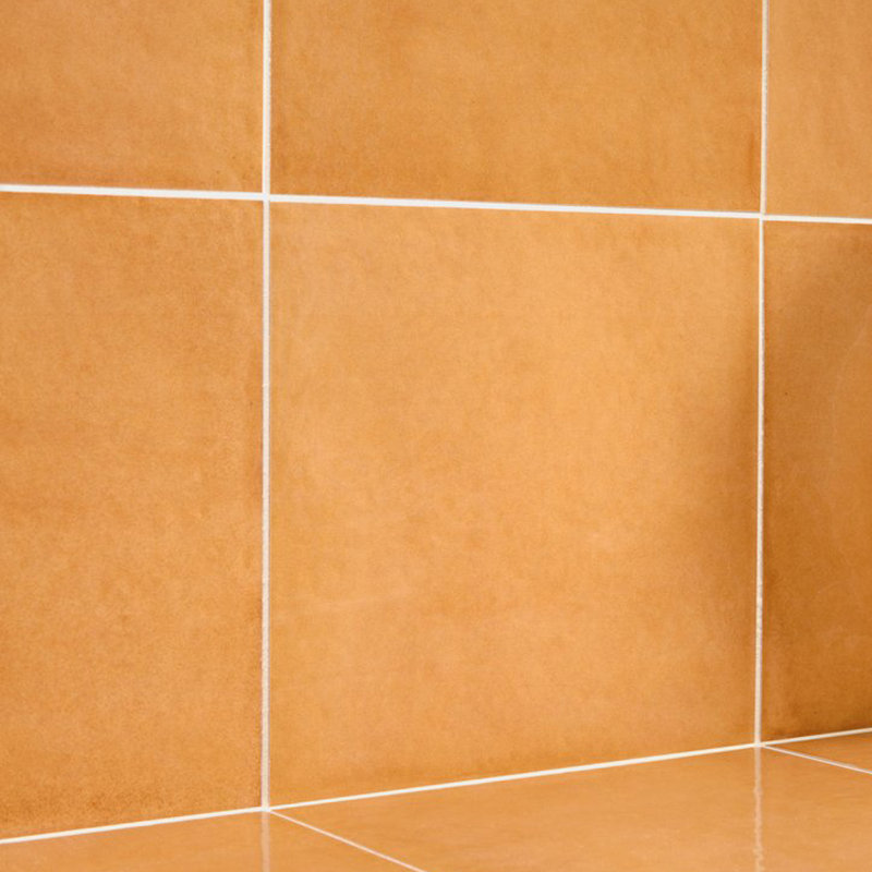 Vita 8" x 8" Glossy Encaustic Porcelain Wall & Floor Tile, Arancione Orange Polished