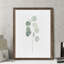 « mou eucalyptus branch i » par paul cezanne-cadre photo, reproduction d’art-693925080-693925083-693953563