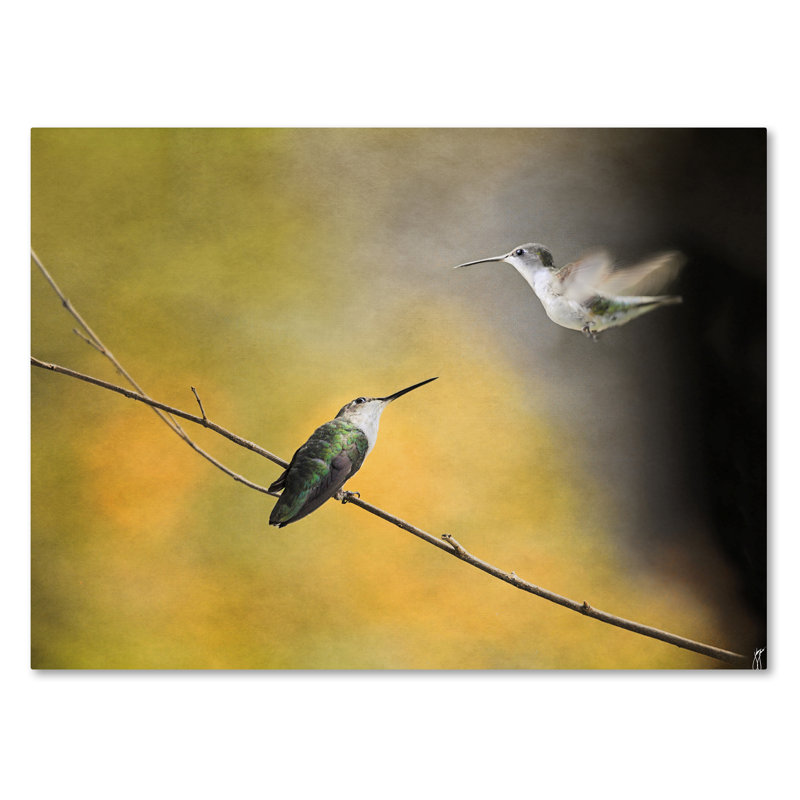 Vidur «Whisper of Your Wings Hummingbirds», impression sur toile tendue, H 18 po x l 24 po
