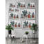 Succulent Clay Pots by Parvez Taj - Floater Frame Painting on Canvas-579344010