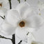 110Cm Artificial Magnolia Tree Plant in Pot-88685045-124076866