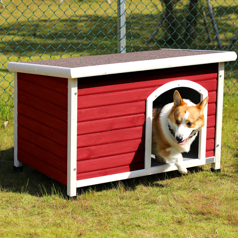 Niche pour chien d'extérieur pour chien moyen, tapis ajustable, bardeaux d'asphalte, panneaux d'épinette finlandais, rouge