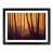Black Framed