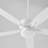 Braylie 52'' Ceiling Fan with LED Lights-1020557539