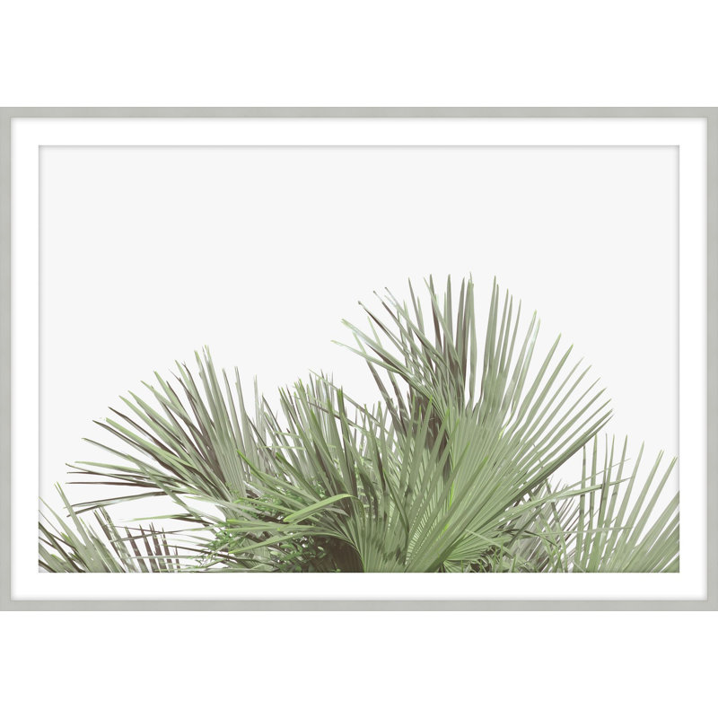 «Tropical Leaves», reproduction d'art encadrée, H 22,5 po x l 31,5 po