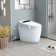 Smart Bidet Toilet Combo with Auto Open Lid and Heated Seat, 4-Flush Ways, Warm Wash/Dryer, LED display (Remote Included)