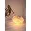Brason Glass Novelty Lamp