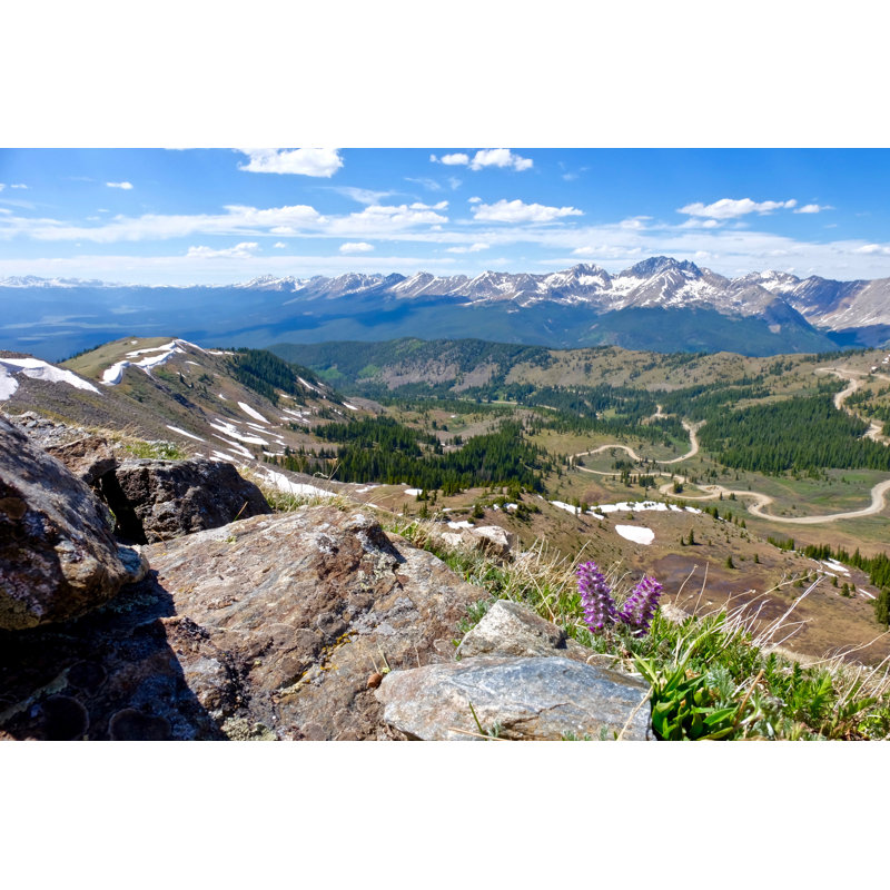 Frith Wild Flowers In Mountains - Wrapped Canvas Print, 30cm H x 46cm W x 3.8cm D