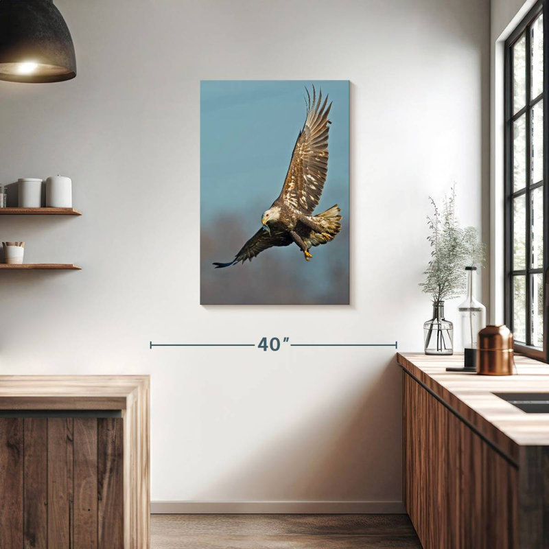 Aigle à tête blanche Brampt, H 36 po x l 24 po