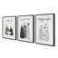 Silent Shelherd's Light, ensemble de 3 reproductions d'art-2018077436-2018077409