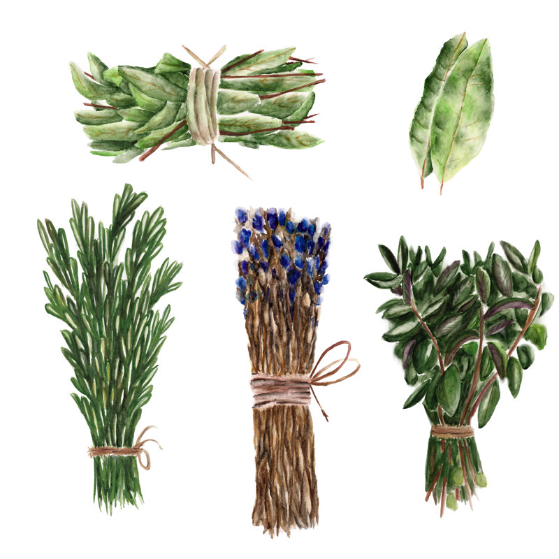 Basil & Rosemary by Rina_Ro - Wrapped Canvas Painting, 30cm H x 30cm W x 3.8cm D