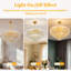 Alarica Chandelier