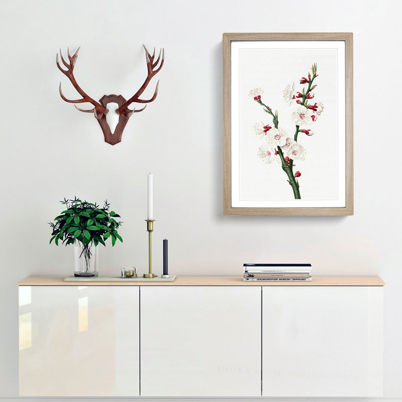 Apricot Flower by Giorgio Gallesio - Single Picture Frame Painting, 33cm H x 24cm W x 2cm D, Oak Framed