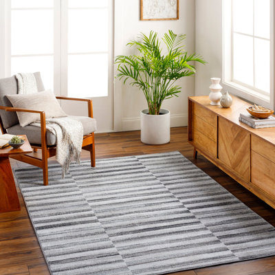 Black Modern Rug, Striped Easy to Clean Rug For Living Room, Dining Room, Bedroom, Kitchen