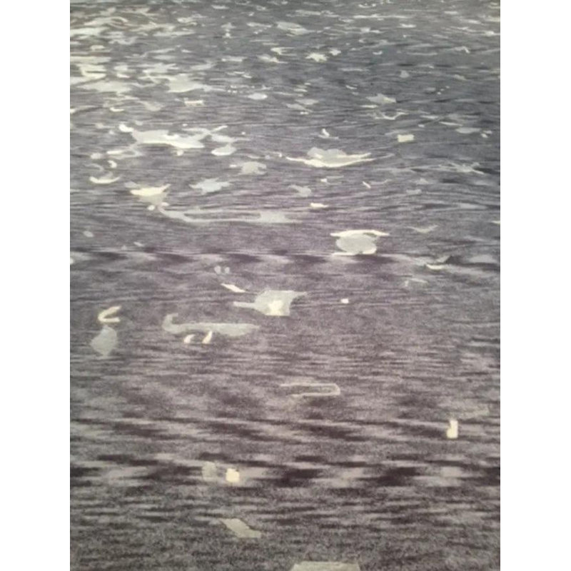 Area Rug in Gray