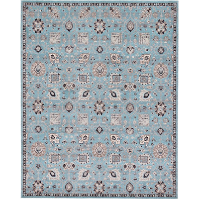 Kasha Oriental Indoor Rug