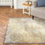 Emerie Oriental Hand Woven Area Rug-20354451