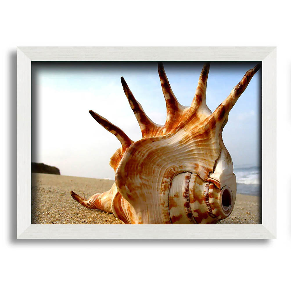 Gerahmter Fotodruck Whelk Shell On The Beach