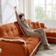 Canapé Chenille Cloud-134674673-134674674