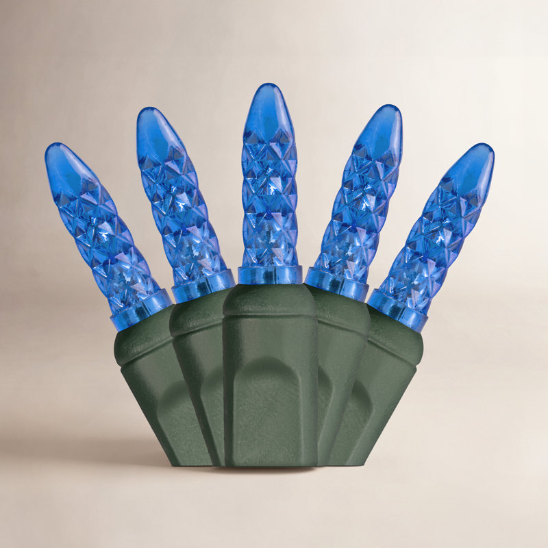 288'' LED String Lights, Blue